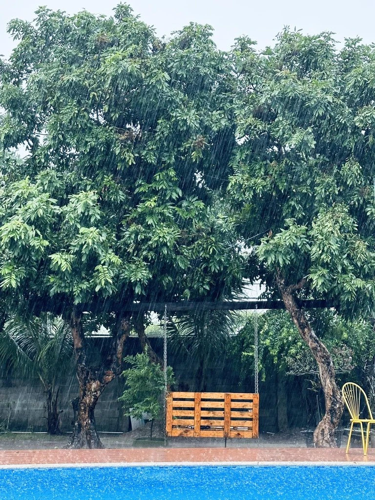 Sao hạng S quyền lực nhất nhì showbiz, 2 thập kỷ không chao đảo vị thế, sạch scandal: Sống kín tiếng trong biệt phủ nghìn mét vuông Sao hạng S quyền lực nhất nhì showbiz, 2 thập kỷ không chao đảo vị thế, sạch scandal: Sống kín tiếng trong biệt phủ nghìn mét vuông