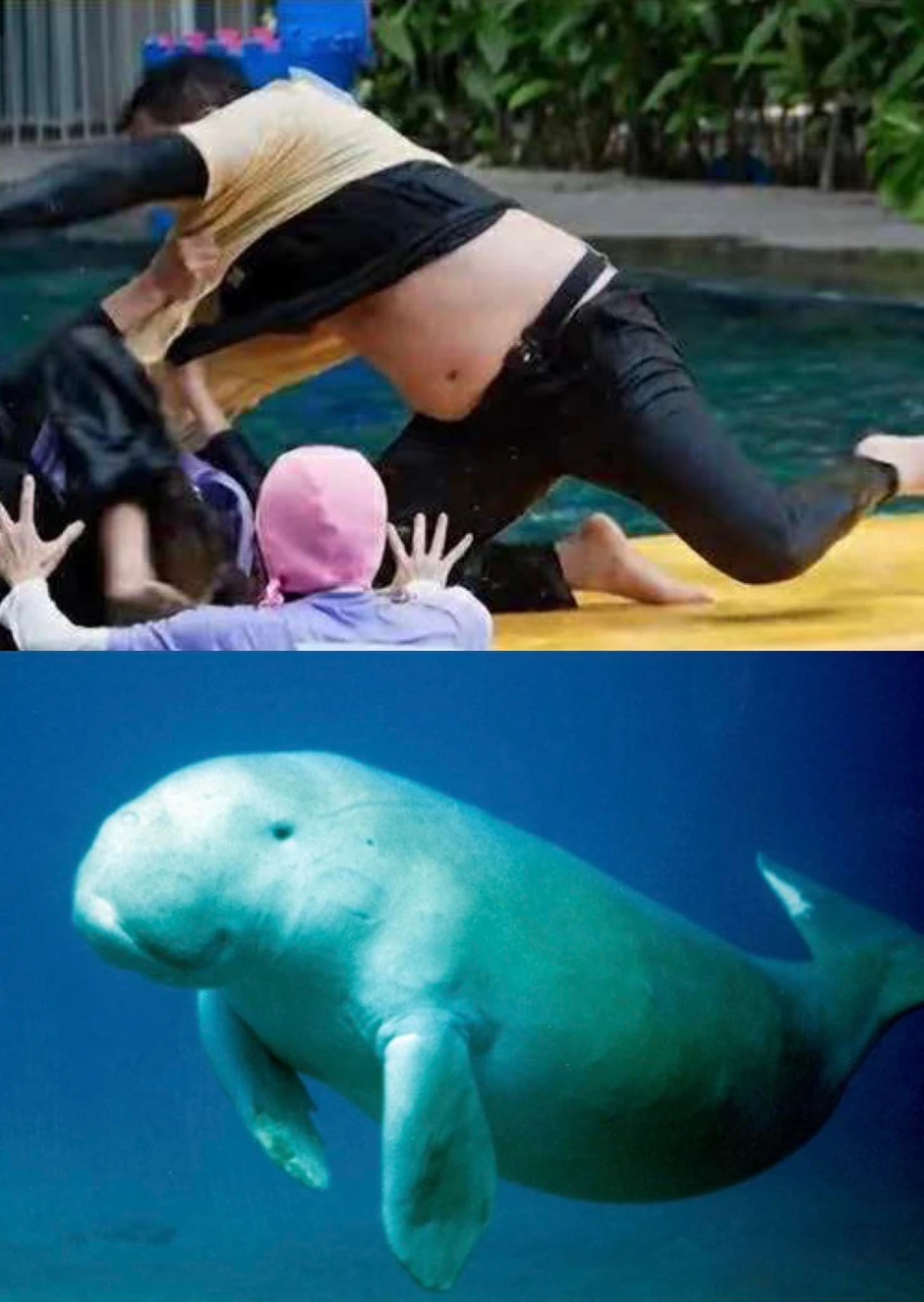 Sao lại đối xử với Trấn Thành thế này?