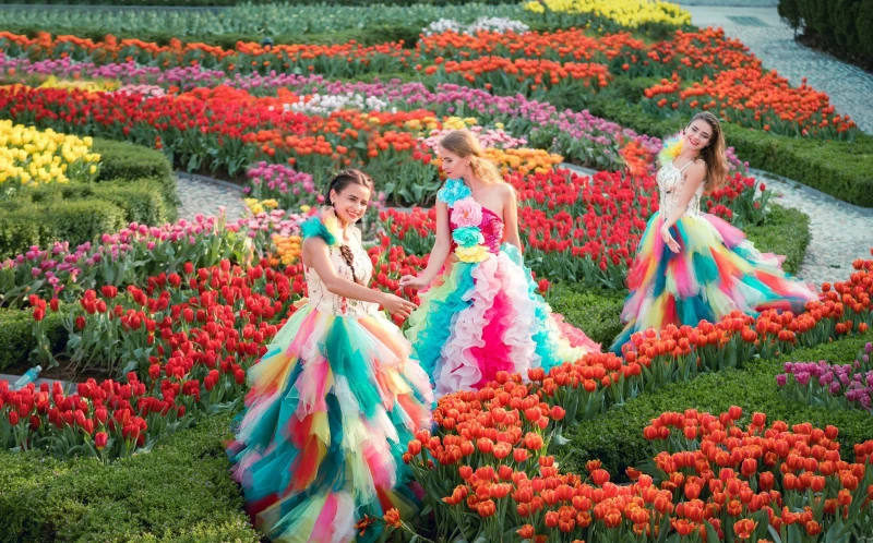 Sun World Ba Na Hills lần đầu ươm trồng 1 triệu bông tulip trên đỉnh núi đón Tết Nguyên đán 2026 Sun World Ba Na Hills lần đầu ươm trồng 1 triệu bông tulip trên đỉnh núi đón Tết Nguyên đán 2026