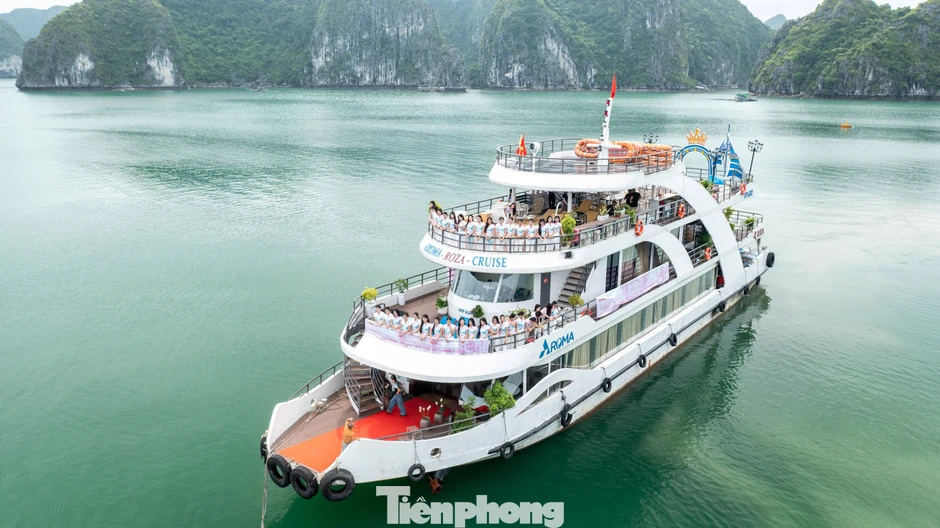 Thí sinh Hoa hậu Việt Nam check-in Hòn Rùa đẹp nhất Cát Bà