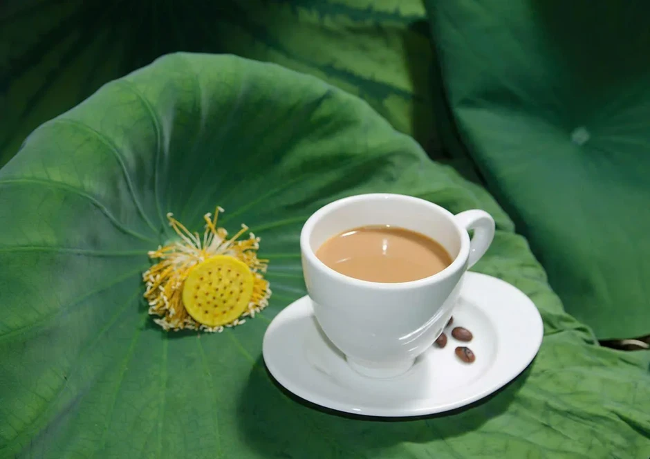 Trải nghiệm "Ăn ngon, chơi chất" cùng VTVgo Trải nghiệm "Ăn ngon, chơi chất" cùng VTVgo