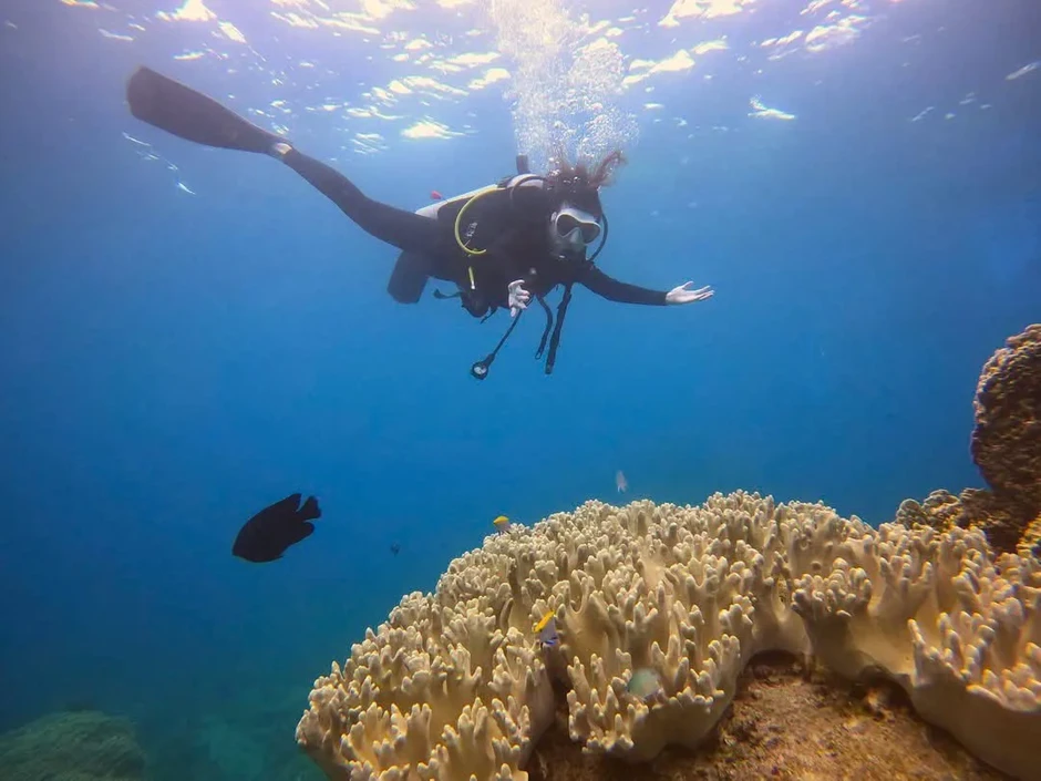 Trải nghiệm "Ăn ngon, chơi chất" cùng VTVgo Trải nghiệm "Ăn ngon, chơi chất" cùng VTVgo