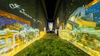 Triển lãm 'Van Gogh Timeless' mở cửa từ ngày mai