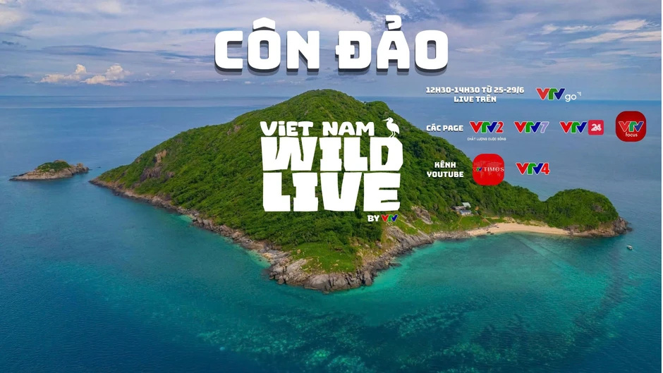 TRỰC TIẾP: Vietnam Wild Live mở màn tại 'thiên đường' chim biển Hòn Trứng - Côn Đảo TRỰC TIẾP: Vietnam Wild Live mở màn tại 'thiên đường' chim biển Hòn Trứng - Côn Đảo