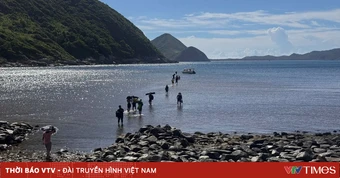 Trực tiếp 'Vietnam Wild Live' trên VTV2 từ 27/6