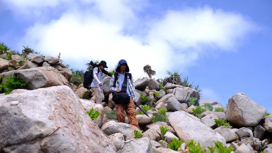Trực tiếp 'Vietnam Wild Live' trên VTV2 từ 27/6 Trực tiếp 'Vietnam Wild Live' trên VTV2 từ 27/6