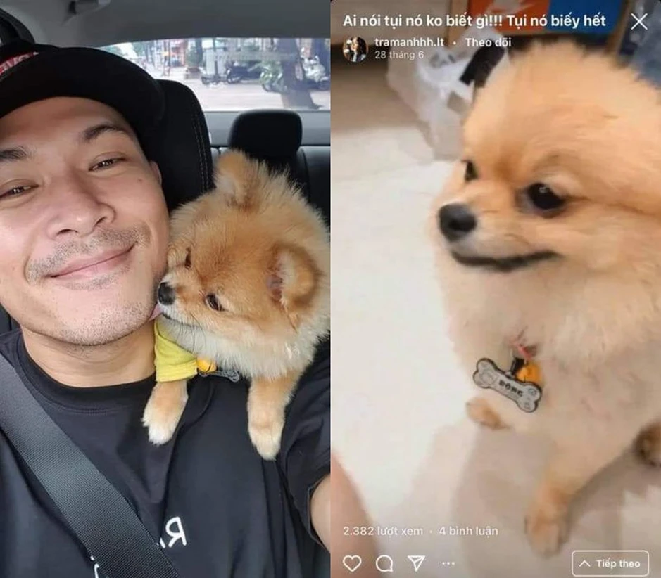 Trương Thế Vinh nói gì sau khi bị bắt gặp dắt Trâm Anh ra mắt? Trương Thế Vinh nói gì sau khi bị bắt gặp dắt Trâm Anh ra mắt?
