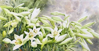 Từ biển khơi mênh mông tới phố thị quyến rũ, loa kèn tháng tư và tâm tưởng con người