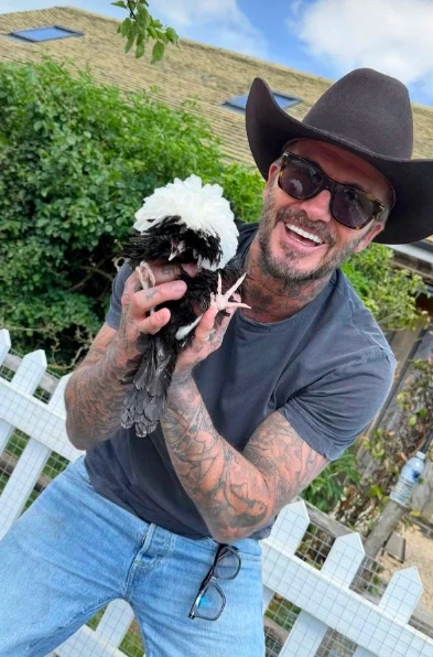 Tuổi 51 của David Beckham: Hạnh phúc ngập tràn nhưng vẫn có khoảng trống Tuổi 51 của David Beckham: Hạnh phúc ngập tràn nhưng vẫn có khoảng trống