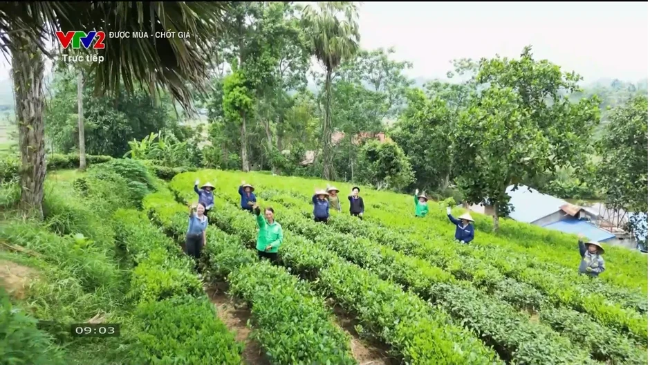 VTV2 ra mắt chương trình Được mùa - Chốt giá VTV2 ra mắt chương trình Được mùa - Chốt giá