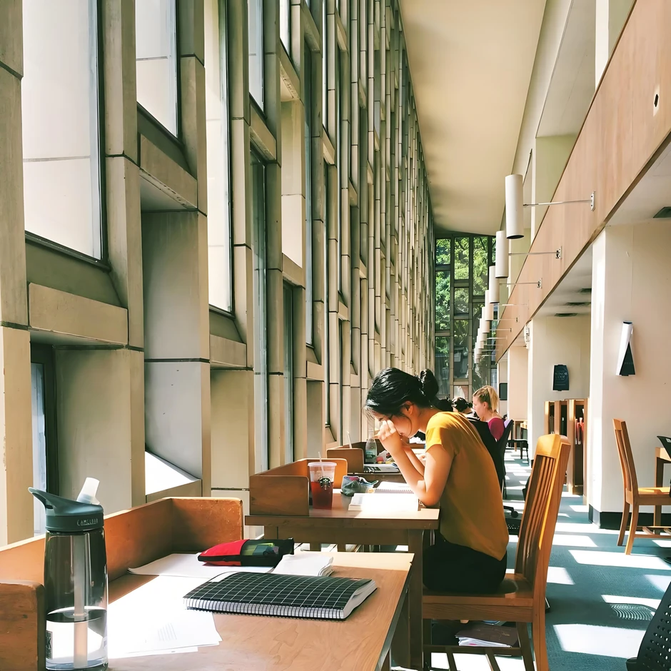 "Đại thanh lọc" ngành học toàn cầu: Vì sao những ngành từng rất hot nay bị xóa sổ, số khác lại càng học càng có giá?