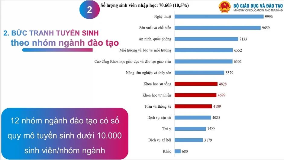 12 nhóm ngành đào tạo đại học thu hút nhiều thí sinh theo học nhất 12 nhóm ngành đào tạo đại học thu hút nhiều thí sinh theo học nhất