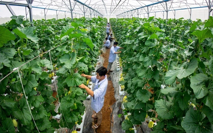 19h ngày 7-4, Trường đại học Cửu Long lên sóng Khám phá trường học 19h ngày 7-4, Trường đại học Cửu Long lên sóng Khám phá trường học