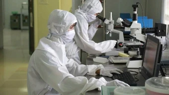 27 chương trình đào tạo của Trường đại học Khoa học Tự nhiên xét học bổng Chính phủ năm 2026