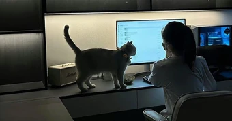 3 kiểu nhắn tin công việc tố cáo bạn là người có EQ bằng 0