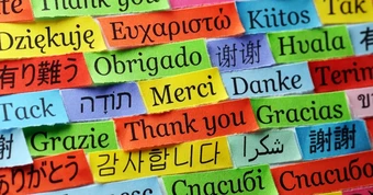 3 ngoại ngữ "vàng" giúp bạn nắm giữ lợi thế chiến lược trong 5 năm tới, không lo bị AI thay thế