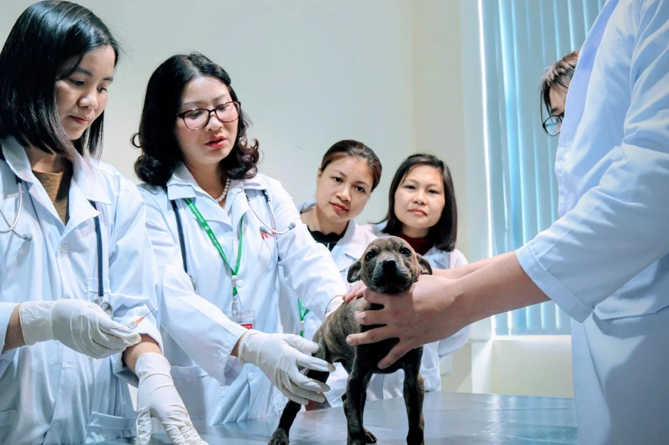 4 giáo sư ngành giáo dục ứng cử đại biểu Quốc hội khóa XVI 4 giáo sư ngành giáo dục ứng cử đại biểu Quốc hội khóa XVI