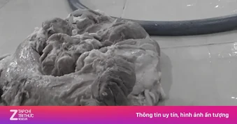 7 trường học ở TP.HCM sử dụng suất ăn do Sago Food cung cấp