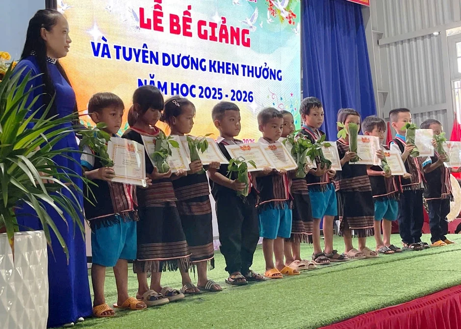 Bế giảng đặc biệt: Học sinh vùng cao Đà Nẵng nhận thưởng bằng sâm giống Ngọc Linh Bế giảng đặc biệt: Học sinh vùng cao Đà Nẵng nhận thưởng bằng sâm giống Ngọc Linh