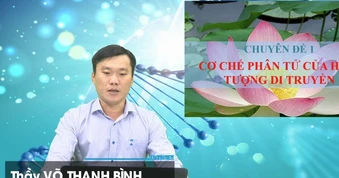 Bí quyết ôn thi tốt nghiệp THPT đạt điểm cao: Hiện tượng di truyền môn sinh học