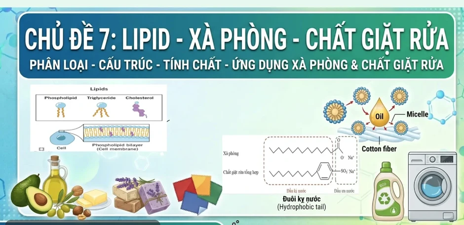Bí quyết ôn thi tốt nghiệp THPT đạt điểm cao: Liên hệ thực tiễn môn hóa