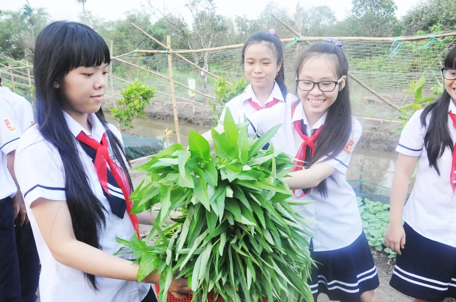 Bữa ăn bán trú: Bài toán niềm tin và kiểm soát chuỗi thực phẩm Bữa ăn bán trú: Bài toán niềm tin và kiểm soát chuỗi thực phẩm