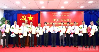 Cà Mau sáp nhập 20 đơn vị trường học, tinh gọn bộ máy giáo dục