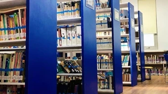 Cán bộ thành thạo ngoại ngữ hiếm được hỗ trợ hằng tháng bằng 300% mức lương