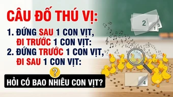 Câu đố '2 con vịt đi trước 2 con vịt' khiến 99,9% người chơi bó tay