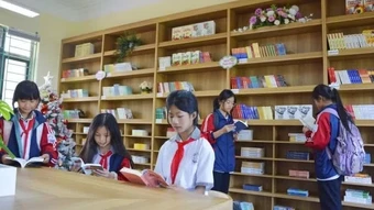 Chủ động, quyết liệt trong triển khai chính sách giáo dục