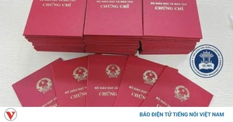 Chủ tịch IEMS bị bắt vì thi chứng chỉ chui: Hiệp hội từng cảnh báo trong báo cáo