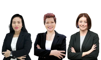 Chuyên gia VAS chỉ cách thiết kế lộ trình học dài hạn cho con