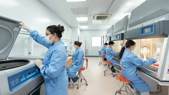 Đại học Phenikaa vào nhóm 401-600 cơ sở giáo dục đại học có ảnh hưởng nhất thế giới