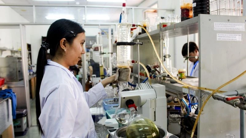 Đại học Quốc gia Thành phố Hồ Chí Minh hỗ trợ nghiên cứu sinh lên đến 560 triệu đồng Đại học Quốc gia Thành phố Hồ Chí Minh hỗ trợ nghiên cứu sinh lên đến 560 triệu đồng
