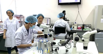 Đại học Quốc gia TP.HCM săn tìm 167 nhà khoa học, ưu đãi nghiên cứu hàng chục tỉ đồng