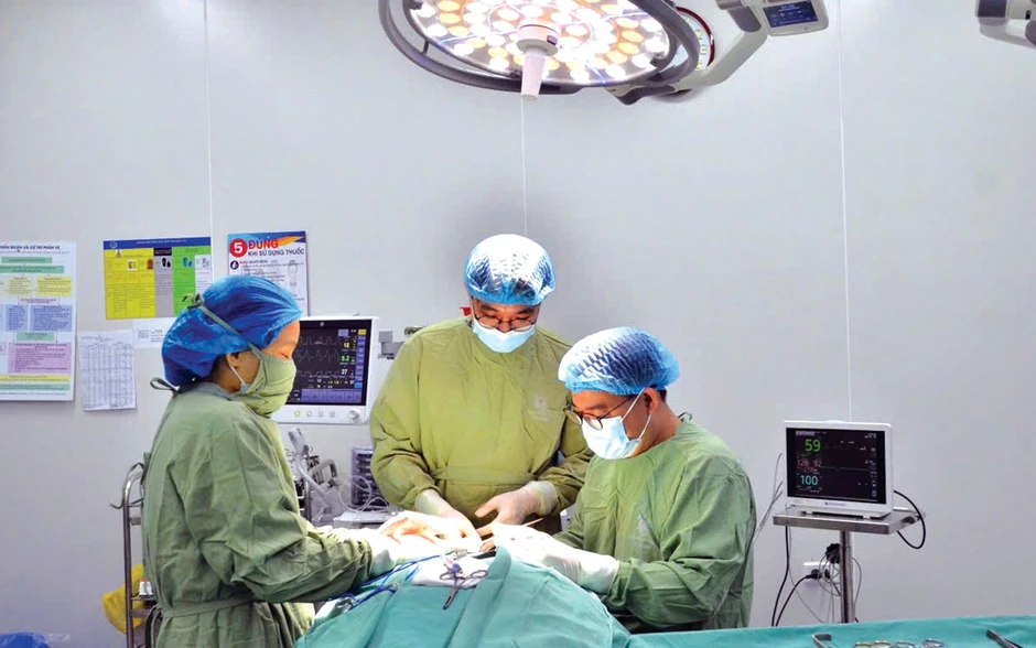 Đại học Y dược Hải Phòng: Lọt top 10 trường đại học đạt chuẩn chất lượng Đại học Y dược Hải Phòng: Lọt top 10 trường đại học đạt chuẩn chất lượng
