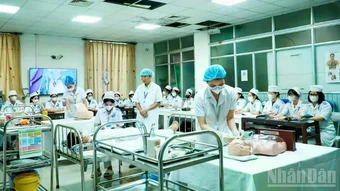 Đại học Y Dược Thái Bình công bố số lượng tuyển sinh, phương thức và tổ hợp xét tuyển năm 2026