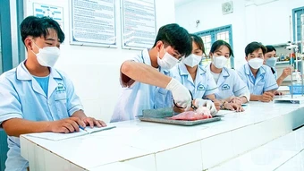 Đào tạo và phát triển nguồn nhân lực cao vùng Đồng bằng sông Cửu Long