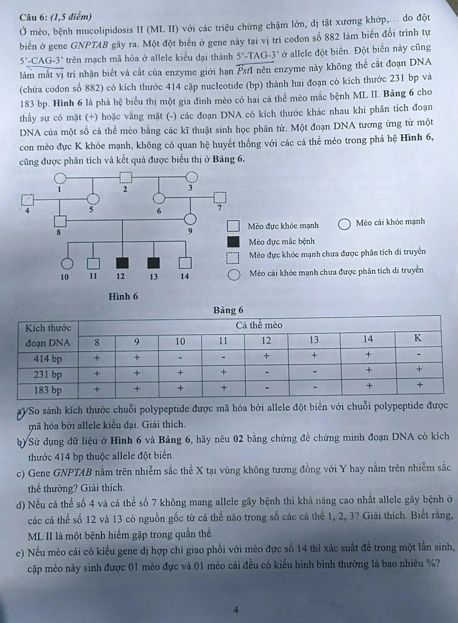 Đề thi môn chuyên Khoa học tự nhiên - sinh học Trường Khoa học Tự nhiên Đề thi môn chuyên Khoa học tự nhiên - sinh học Trường Khoa học Tự nhiên
