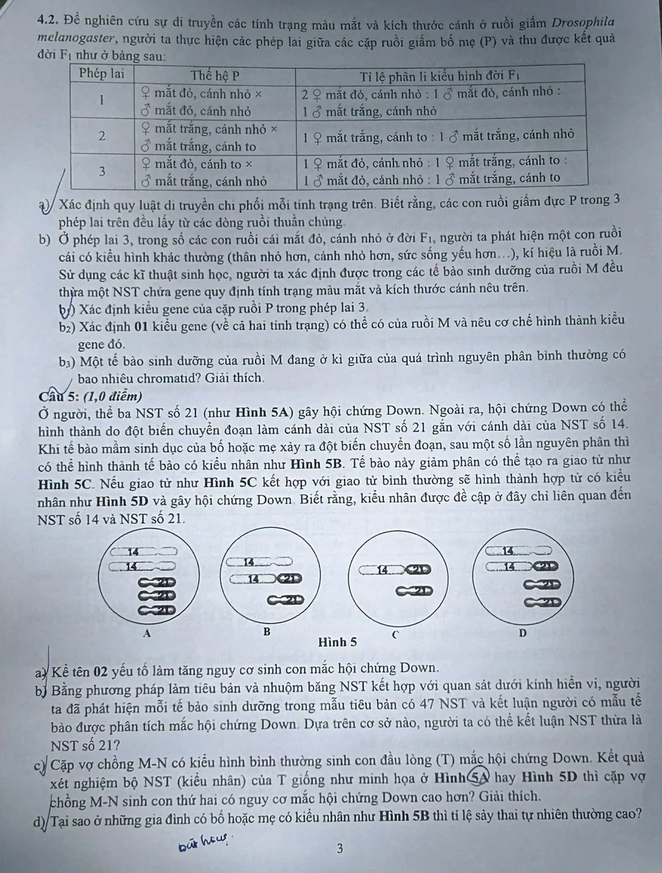 Đề thi môn chuyên Khoa học tự nhiên - sinh học Trường Khoa học Tự nhiên Đề thi môn chuyên Khoa học tự nhiên - sinh học Trường Khoa học Tự nhiên