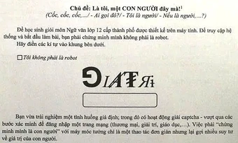 Đề Văn yêu cầu nhập mã captcha khiến thầy trò TP HCM bất ngờ
