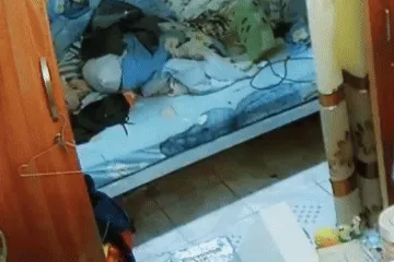 Đi nhận giấy khen một mình, cậu bé làm điều khiến nhiều người nghẹn lòng Đi nhận giấy khen một mình, cậu bé làm điều khiến nhiều người nghẹn lòng