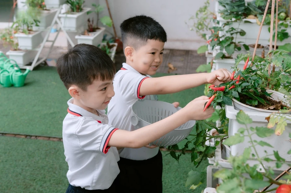 Elmich Việt Nam kiến tạo mô hình vườn ươm lan tỏa lối sống xanh trong học đường Elmich Việt Nam kiến tạo mô hình vườn ươm lan tỏa lối sống xanh trong học đường