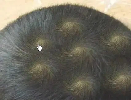 Em bé gây chú ý vì có tới 9 xoáy tóc trên đầu: Liệu có điều gì đặc biệt liên quan đến não bộ của bé?