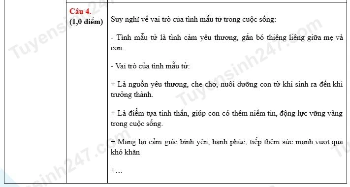 Gợi ý đáp án đề thi Ngữ văn vào lớp 10 THPT công lập tại Ninh Bình năm 2026 Gợi ý đáp án đề thi Ngữ văn vào lớp 10 THPT công lập tại Ninh Bình năm 2026