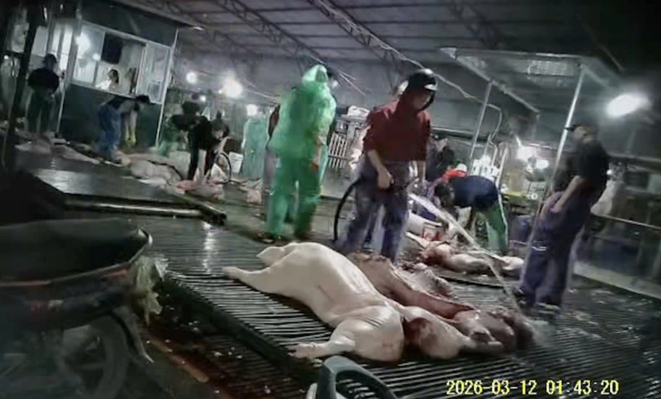 Hà Nội siết chặt kiểm soát chất lượng bữa ăn bán trú Hà Nội siết chặt kiểm soát chất lượng bữa ăn bán trú