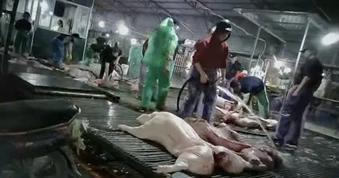 Hà Nội siết chặt kiểm soát chất lượng bữa ăn bán trú