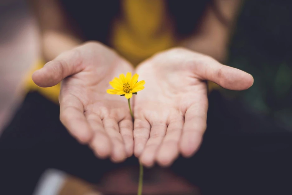 Hãy để con trẻ lớn lên trong yêu thương và an toàn Hãy để con trẻ lớn lên trong yêu thương và an toàn