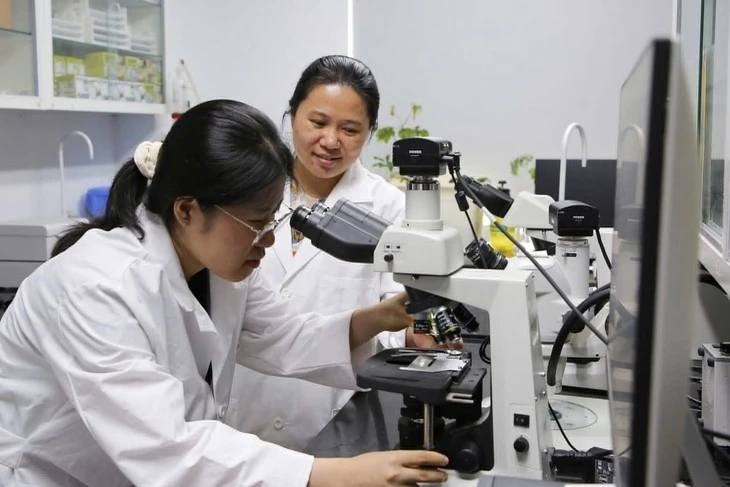 Học ngành khoa học, kỹ thuật có thể nhận học bổng tới 8,4 triệu đồng/tháng Học ngành khoa học, kỹ thuật có thể nhận học bổng tới 8,4 triệu đồng/tháng