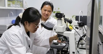 Học ngành khoa học, kỹ thuật có thể nhận học bổng tới 8,4 triệu đồng/tháng